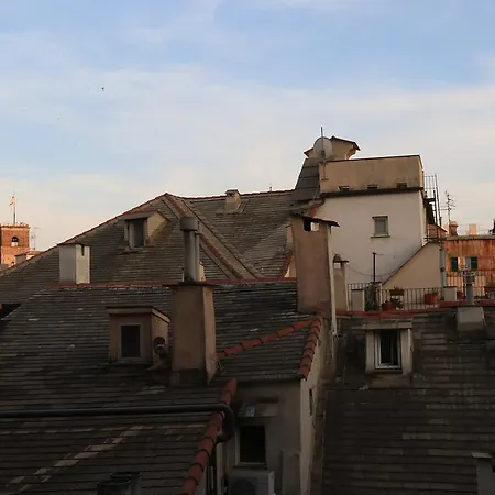 Spinola *